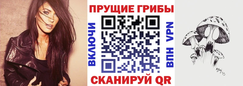 Псилоцибиновые грибы Magic Shrooms блэк спрут Заволжск магазин наркотиков